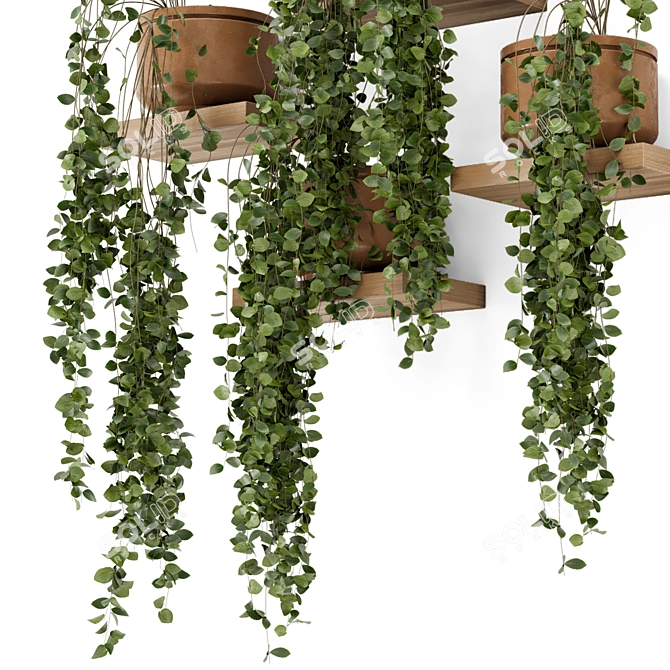 Concrete Pot Hanging Plants Set 3D model image 3