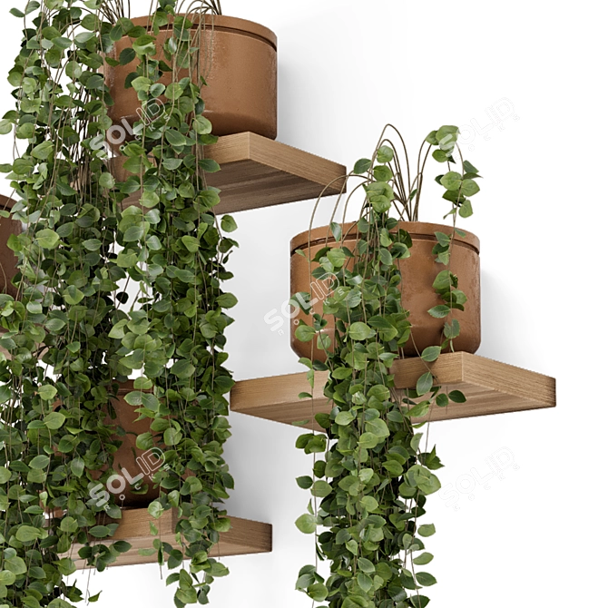 Concrete Pot Hanging Plants Set 3D model image 5