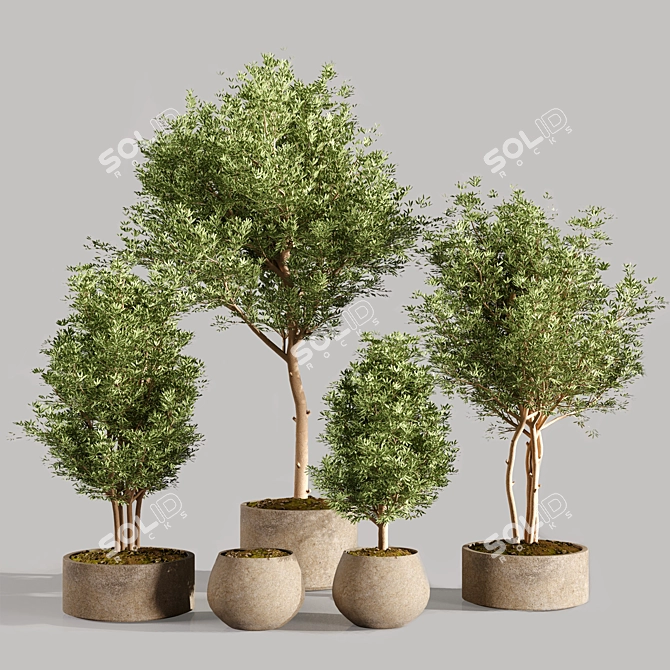 Exquisite Indoor Plants Collection Set 3D model image 1