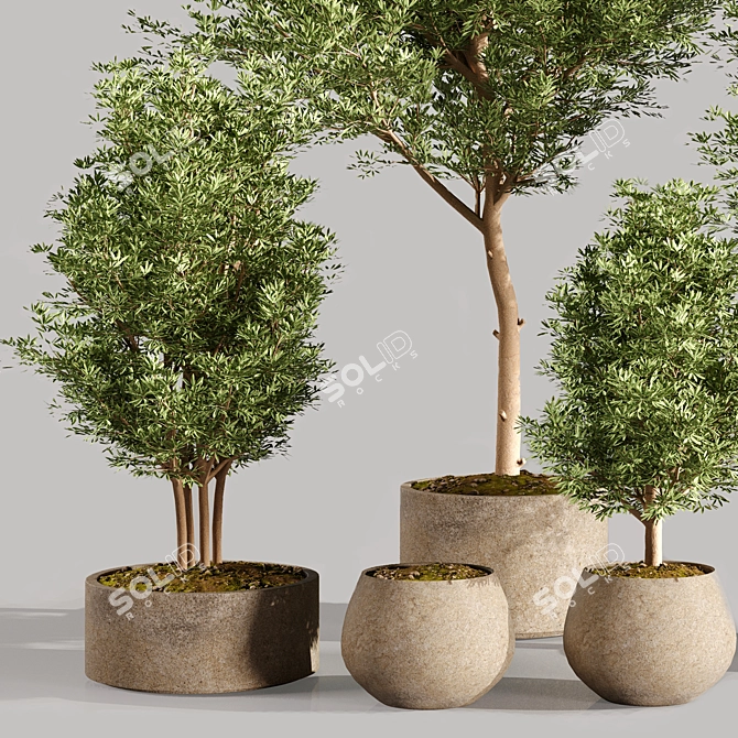 Exquisite Indoor Plants Collection Set 3D model image 3