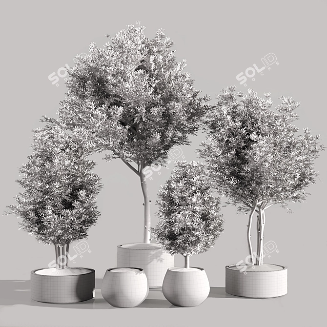 Exquisite Indoor Plants Collection Set 3D model image 4