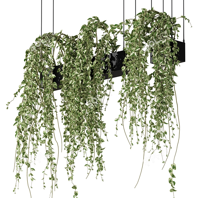 Elegant Hanging Plants Collection 3D model image 2