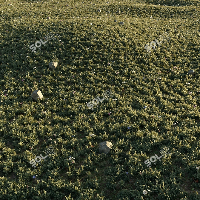 Floral Meadow 3D Scene Render 3D model image 1