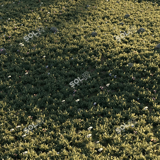 Floral Meadow 3D Scene Render 3D model image 2