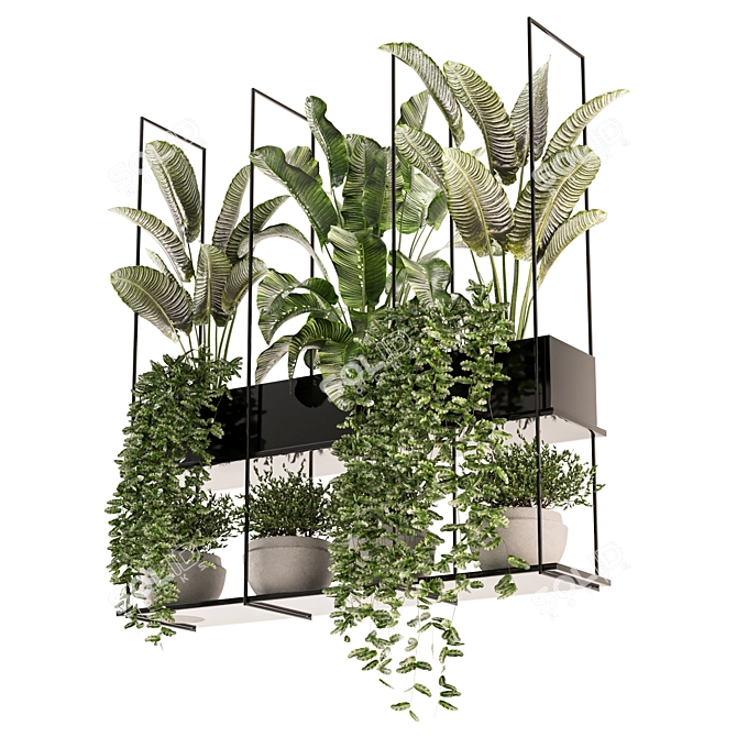 Metal Box Set of Hanging Plants 3D model image 2