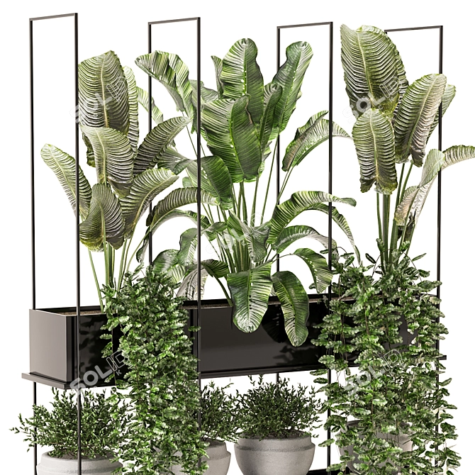 Metal Box Set of Hanging Plants 3D model image 3