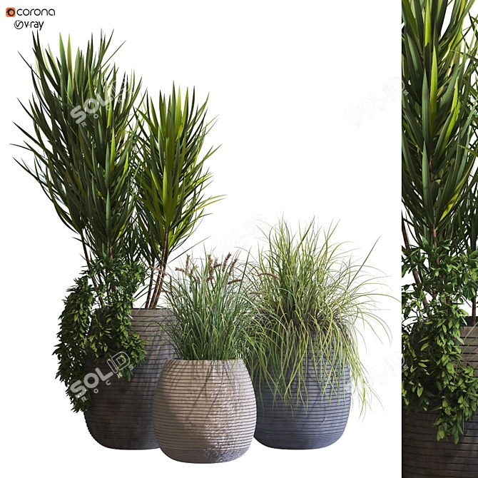 Modern Vase Set with Plants 3D model image 1