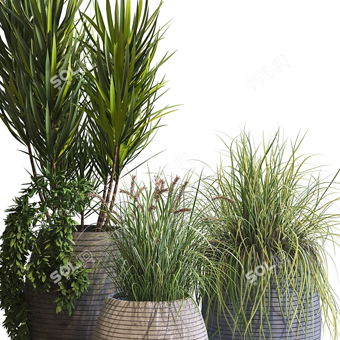 Modern Vase Set with Plants 3D model image 2