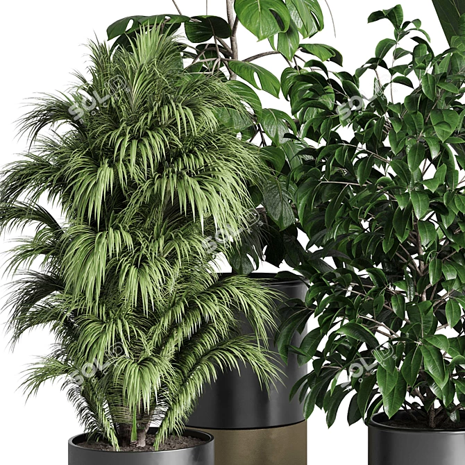 Modern Indoor Plant Collection Export 3D model image 2