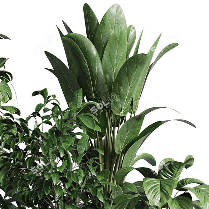 Modern Indoor Plant Collection Export 3D model image 3