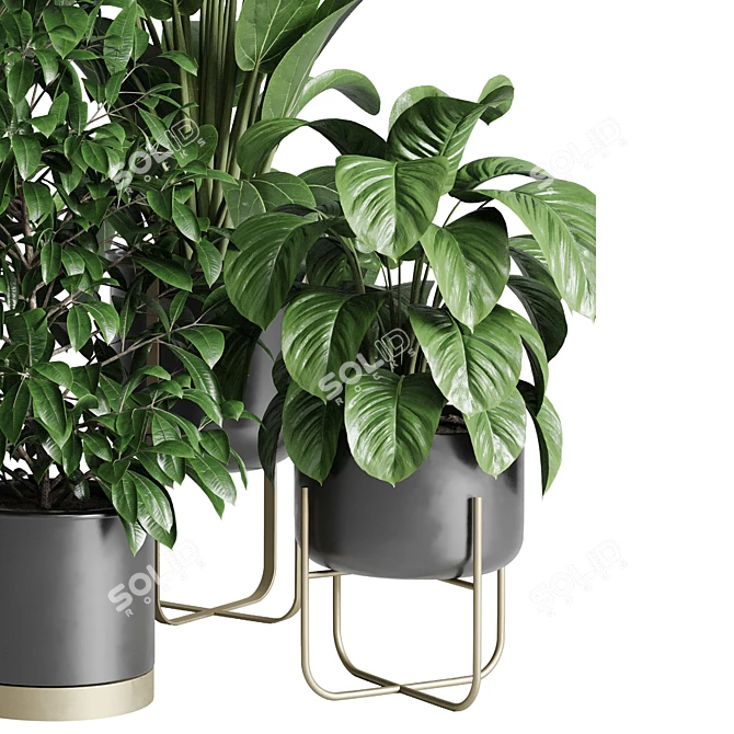 Modern Indoor Plant Collection Export 3D model image 4