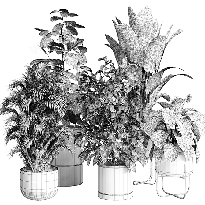 Modern Indoor Plant Collection Export 3D model image 7