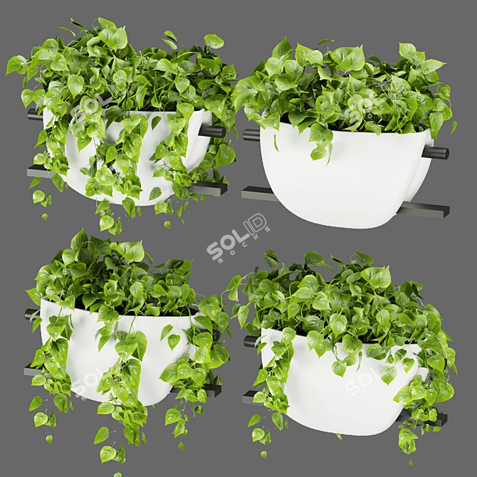 Pothos Hanging Plant Collection 3D model image 1