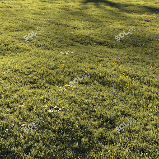 Lush Meadow Scene Assets 3D model image 2