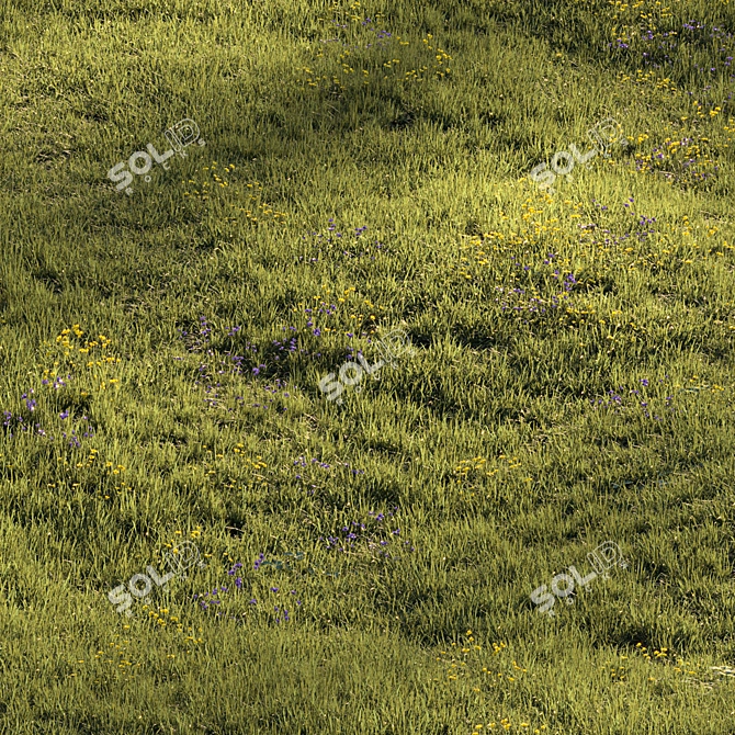 Lush Meadow Scene Assets 3D model image 4