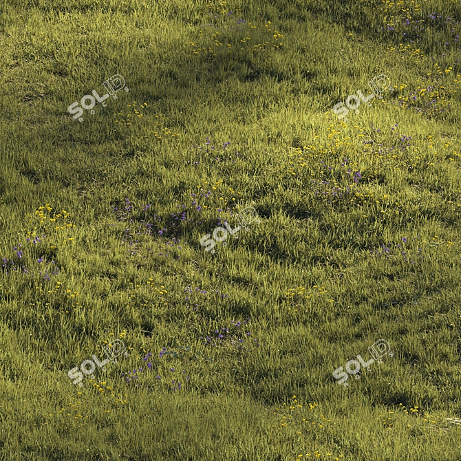 Lush Meadow Scene Assets 3D model image 7