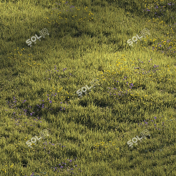 Lush Meadow Scene Assets 3D model image 8