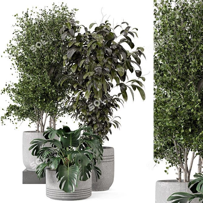 Rusty Concrete Pot Indoor Plants 3D model image 1