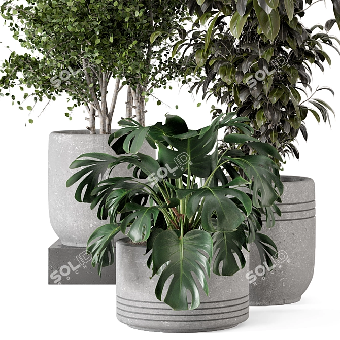 Rusty Concrete Pot Indoor Plants 3D model image 2