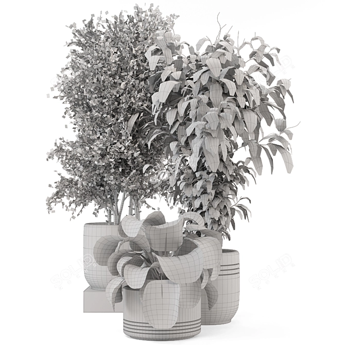 Rusty Concrete Pot Indoor Plants 3D model image 7