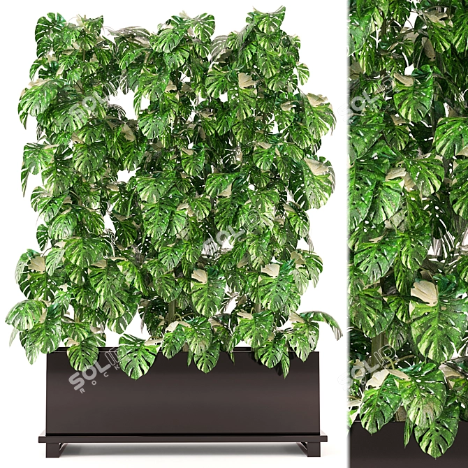 Premium Indoor Plants Collection 341 3D model image 1