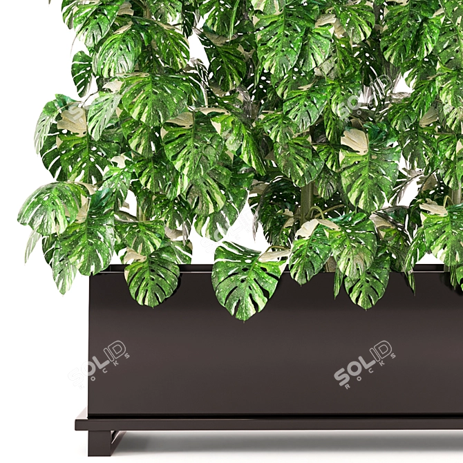 Premium Indoor Plants Collection 341 3D model image 2