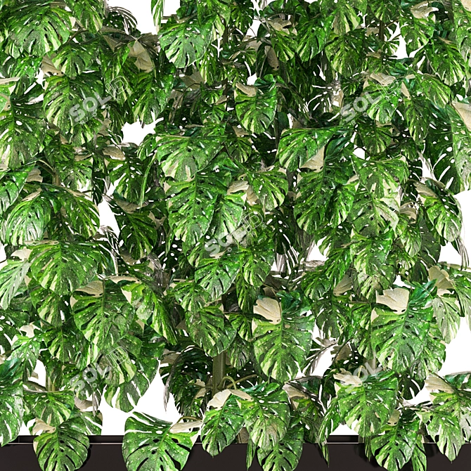 Premium Indoor Plants Collection 341 3D model image 3