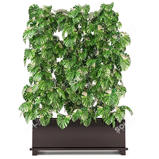 Premium Indoor Plants Collection 341 3D model image 4