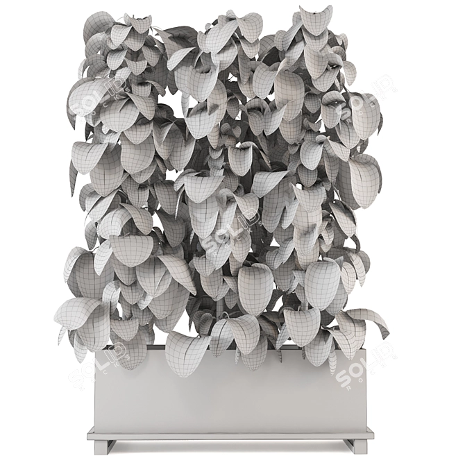 Premium Indoor Plants Collection 341 3D model image 5