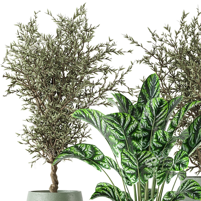 Max+Obj Indoor Plants Collection Set 3D model image 3