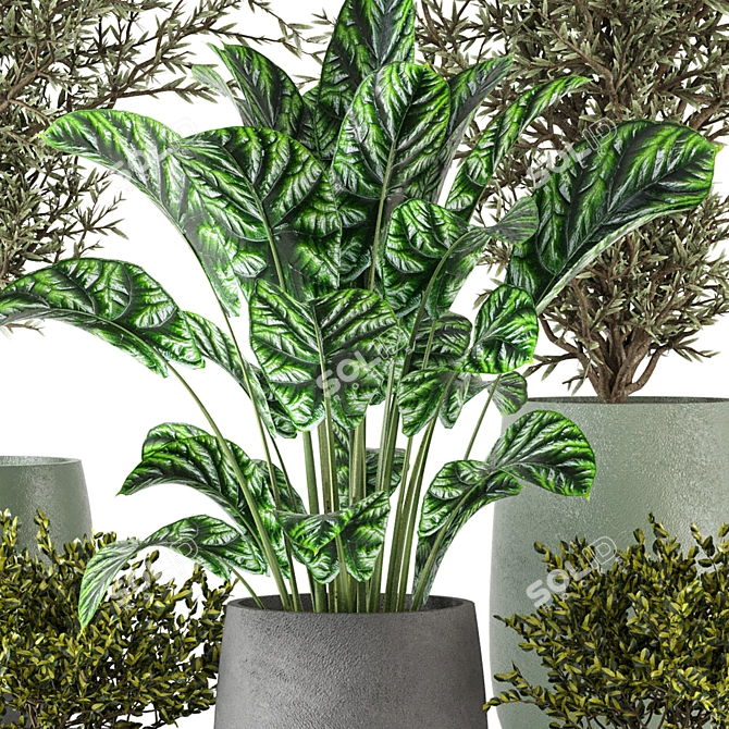 Max+Obj Indoor Plants Collection Set 3D model image 4