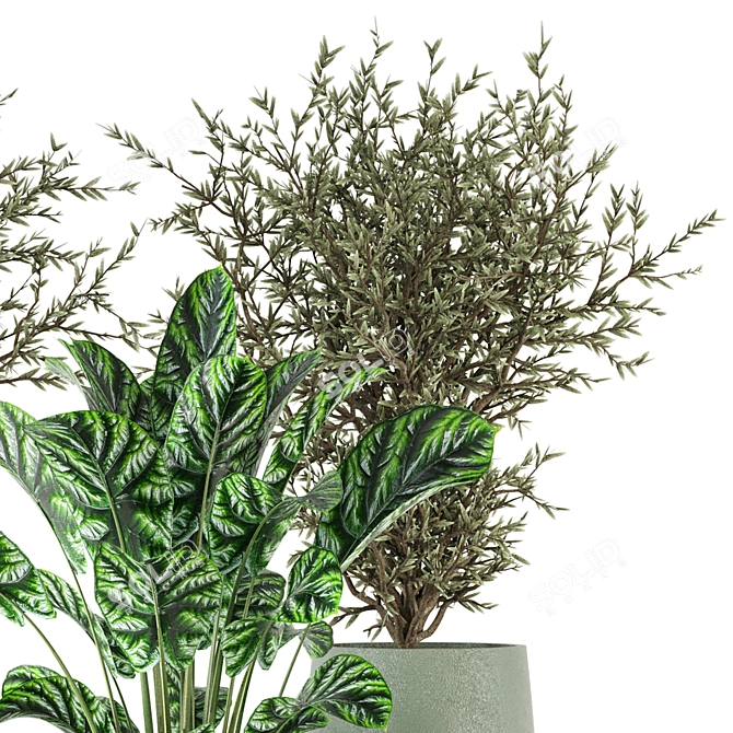 Max+Obj Indoor Plants Collection Set 3D model image 5