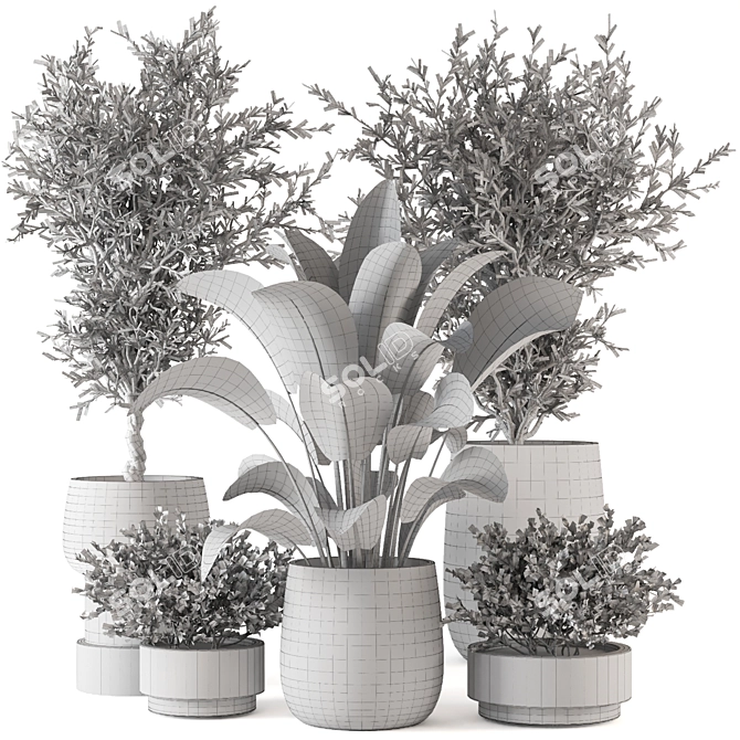 Max+Obj Indoor Plants Collection Set 3D model image 6
