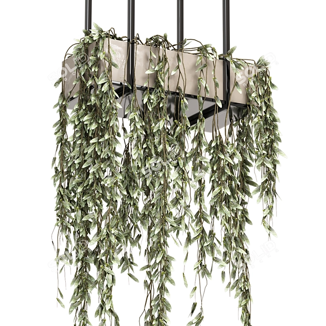 Metal Box Hanging Plants Set 3D model image 4