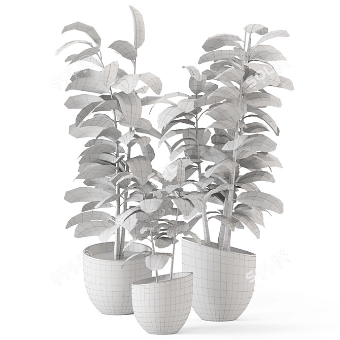 Rusty Concrete Pot Indoor Plants 3D model image 7