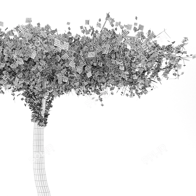 Sakura Tree 3000mm Height 3D model image 5