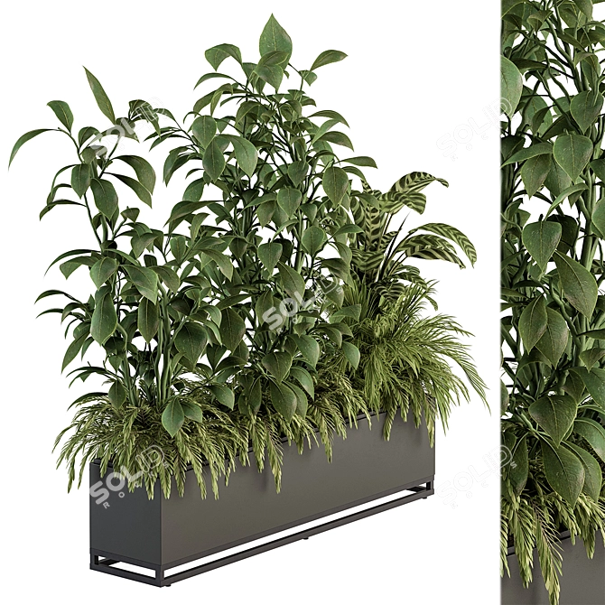 Indoor Plant Set in Box 3D model image 1