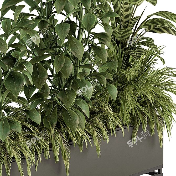 Indoor Plant Set in Box 3D model image 2