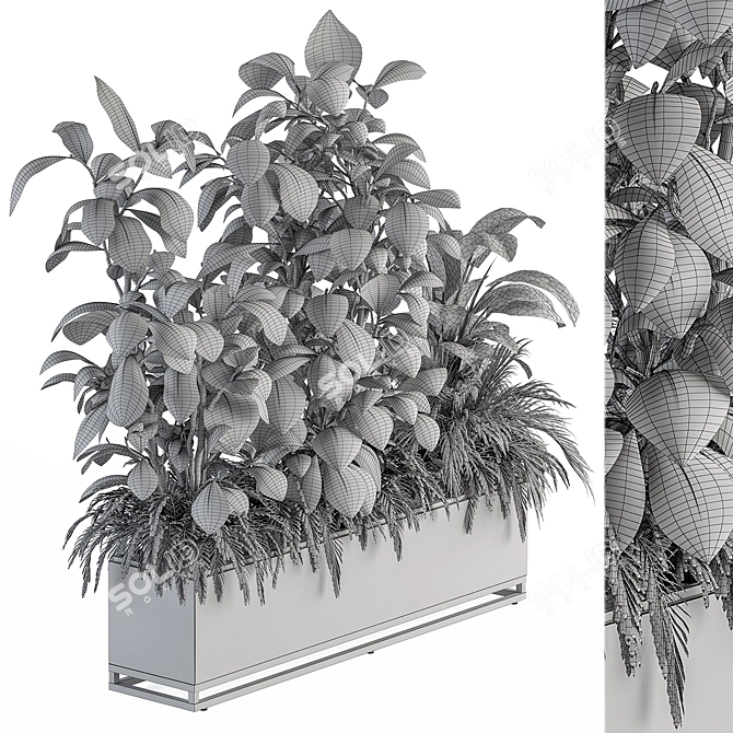 Indoor Plant Set in Box 3D model image 3