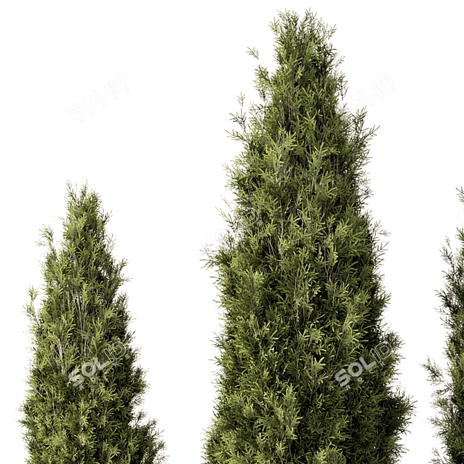 Outdoor Bush Set 697, V-Ray/Corona 3D model image 3