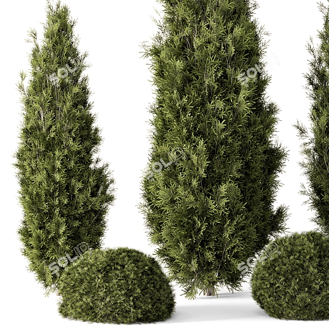 Outdoor Bush Set 697, V-Ray/Corona 3D model image 4