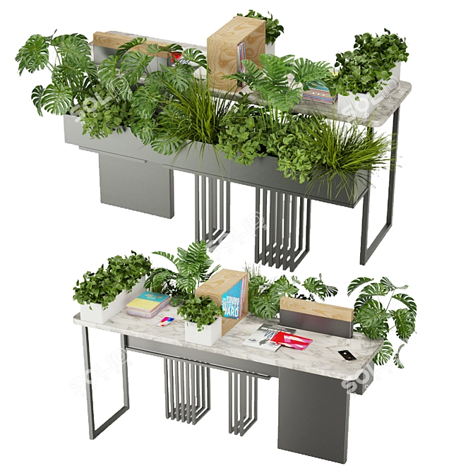 Sleek Pothos Plant 3D Model 3D model image 2