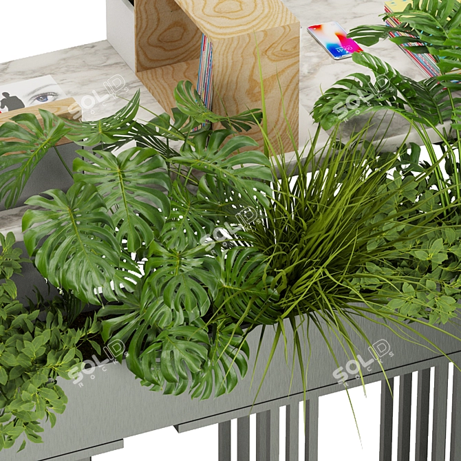 Sleek Pothos Plant 3D Model 3D model image 5