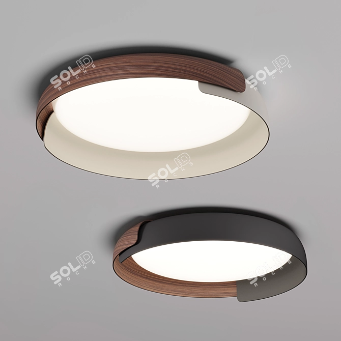 Modern Kundalini Dala Pendant Lights 3D model image 4