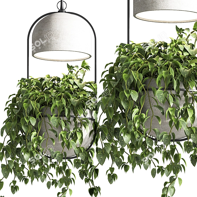 Suspended Concrete Vase for Indoor Plants 3D model image 2