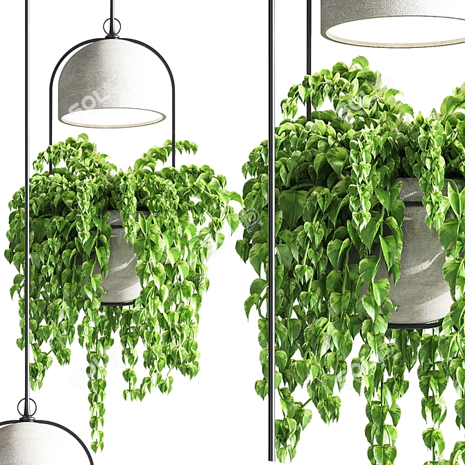 Suspended Concrete Vase for Indoor Plants 3D model image 3