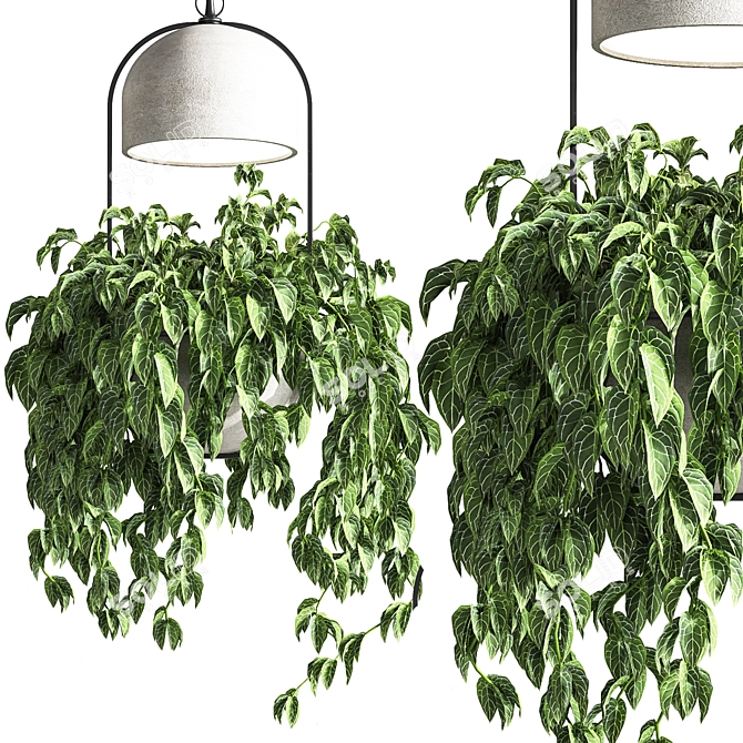 Suspended Concrete Vase for Indoor Plants 3D model image 4