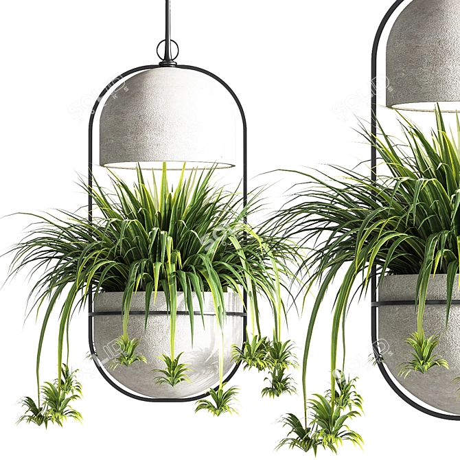 Suspended Concrete Vase for Indoor Plants 3D model image 5