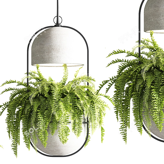 Suspended Concrete Vase for Indoor Plants 3D model image 6