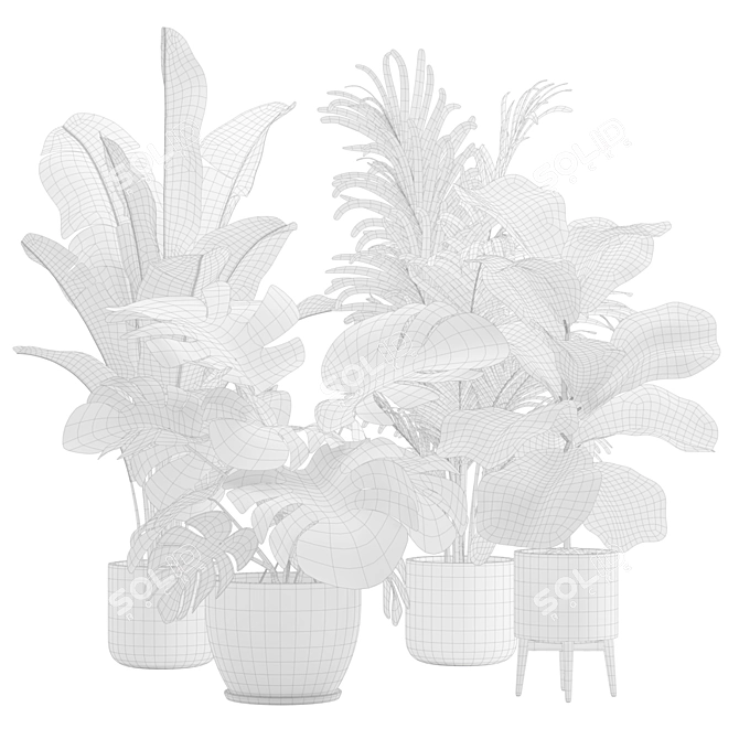 Exotic Indoor Plants Pack 17 3D model image 3